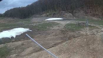 Ведмежа 13 квітня 2018 року, 2018-04-13 16:00