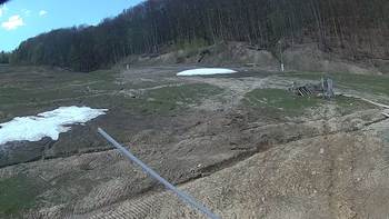 Ведмежа 14 квітня 2018 року, 2018-04-14 13:00