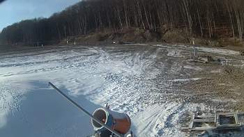 Ведмежа 1 грудня 2018 року, 2018-12-01 13:00