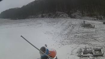 Ведмежа 3 грудня 2018 року, 2018-12-03 10:00