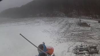 Ведмежа 3 грудня 2018 року, 2018-12-03 13:00