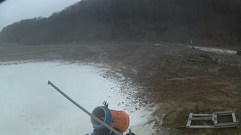 Ведмежа 4 грудня 2018 року, 2018-12-04 13:00