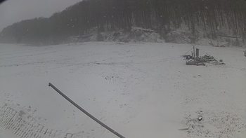 Ведмежа 8 грудня 2018 року, 2018-12-08 13:00