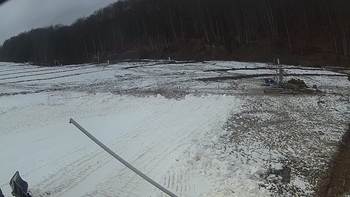 Ведмежа 11 грудня 2018 року, 2018-12-11 13:00