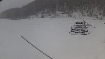 Ведмежа 16 грудня 2018 року, 2018-12-16 10:00