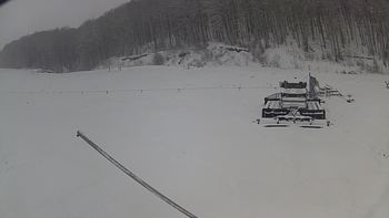 Ведмежа 16 грудня 2018 року, 2018-12-16 13:00