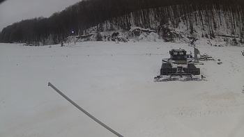 Ведмежа 20 грудня 2018 року, 2018-12-20 10:00