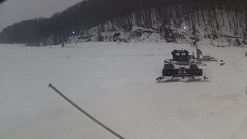 Ведмежа 20 грудня 2018 року, 2018-12-20 13:00