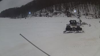 Ведмежа 20 грудня 2018 року, 2018-12-20 16:00