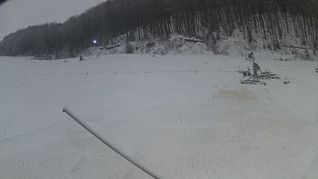 Ведмежа 21 грудня 2018 року, 2018-12-21 10:00