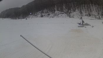 Ведмежа 21 грудня 2018 року, 2018-12-21 13:00