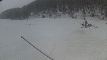 Ведмежа 21 грудня 2018 року, 2018-12-21 16:00