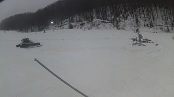 Ведмежа 22 грудня 2018 року, 2018-12-22 10:00
