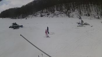 Ведмежа 25 грудня 2018 року, 2018-12-25 10:00