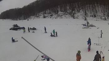 Ведмежа 25 грудня 2018 року, 2018-12-25 13:00