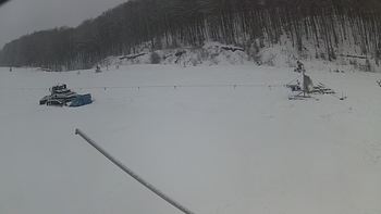 Ведмежа 26 грудня 2018 року, 2018-12-26 10:00