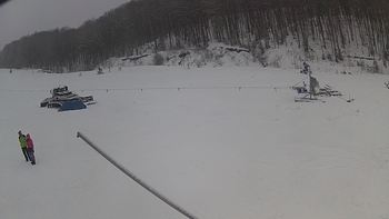 Ведмежа 26 грудня 2018 року, 2018-12-26 13:00