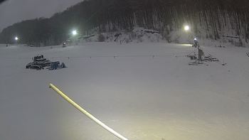 Ведмежа 26 грудня 2018 року, 2018-12-26 16:00