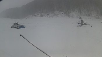 Ведмежа 27 грудня 2018 року, 2018-12-27 10:00