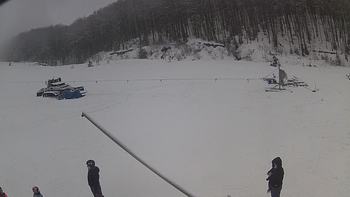 Ведмежа 28 грудня 2018 року, 2018-12-28 10:00