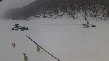 Ведмежа 28 грудня 2018 року, 2018-12-28 13:00