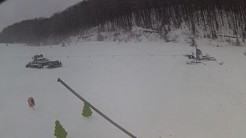 Ведмежа 29 грудня 2018 року, 2018-12-29 10:00