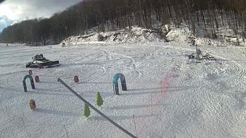 Ведмежа 29 грудня 2018 року, 2018-12-29 13:00