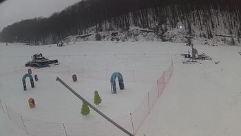 Ведмежа 30 грудня 2018 року, 2018-12-30 10:00