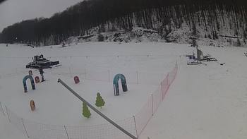 Ведмежа 30 грудня 2018 року, 2018-12-30 13:00