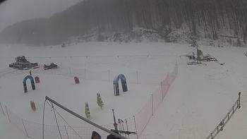 Ведмежа 31 грудня 2018 року, 2018-12-31 10:00