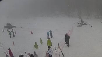 Ведмежа 31 грудня 2018 року, 2018-12-31 13:00