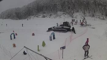 Ведмежа 2 січня 2019 року, 2019-01-02 13:00