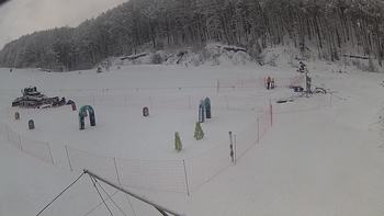 Ведмежа 3 січня 2019 року, 2019-01-03 10:00