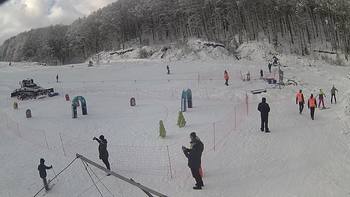 Ведмежа 3 січня 2019 року, 2019-01-03 13:00