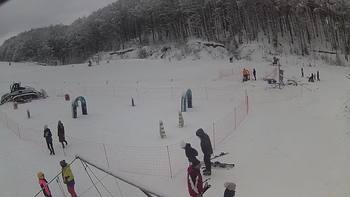 Ведмежа 4 січня 2019 року, 2019-01-04 13:00