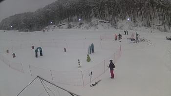 Ведмежа 5 січня 2019 року, 2019-01-05 10:00