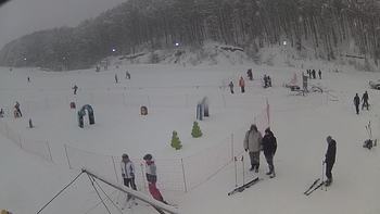 Ведмежа 5 січня 2019 року, 2019-01-05 13:00