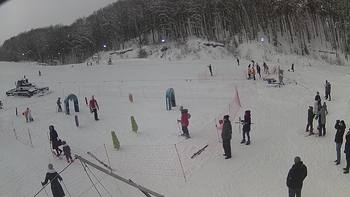 Ведмежа 6 січня 2019 року, 2019-01-06 13:00