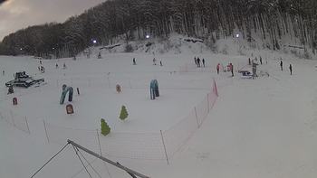Ведмежа 6 січня 2019 року, 2019-01-06 16:00