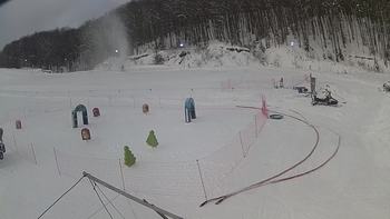 Ведмежа 7 січня 2019 року, 2019-01-07 10:00