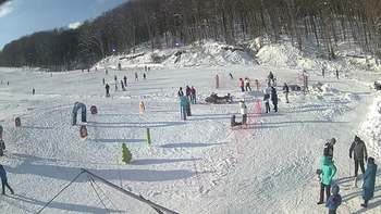 Ведмежа 7 січня 2019 року, 2019-01-07 13:00