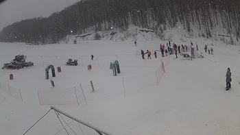 Ведмежа 8 січня 2019 року, 2019-01-08 13:00
