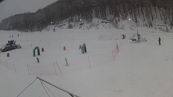 Ведмежа 9 січня 2019 року, 2019-01-09 10:00