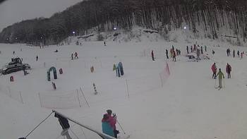 Ведмежа 9 січня 2019 року, 2019-01-09 13:00
