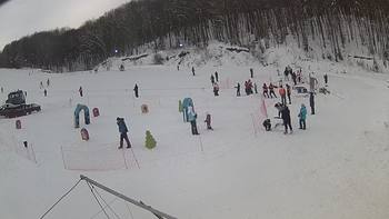 Ведмежа 10 січня 2019 року, 2019-01-10 13:00