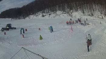 Ведмежа 11 січня 2019 року, 2019-01-11 10:00