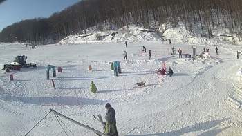 Ведмежа 11 січня 2019 року, 2019-01-11 13:00