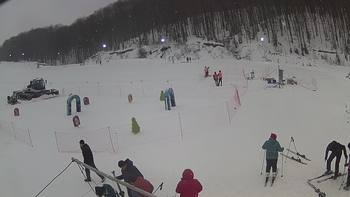 Ведмежа 12 січня 2019 року, 2019-01-12 10:00