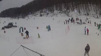 Ведмежа 12 січня 2019 року, 2019-01-12 13:00