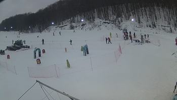 Ведмежа 12 січня 2019 року, 2019-01-12 16:00